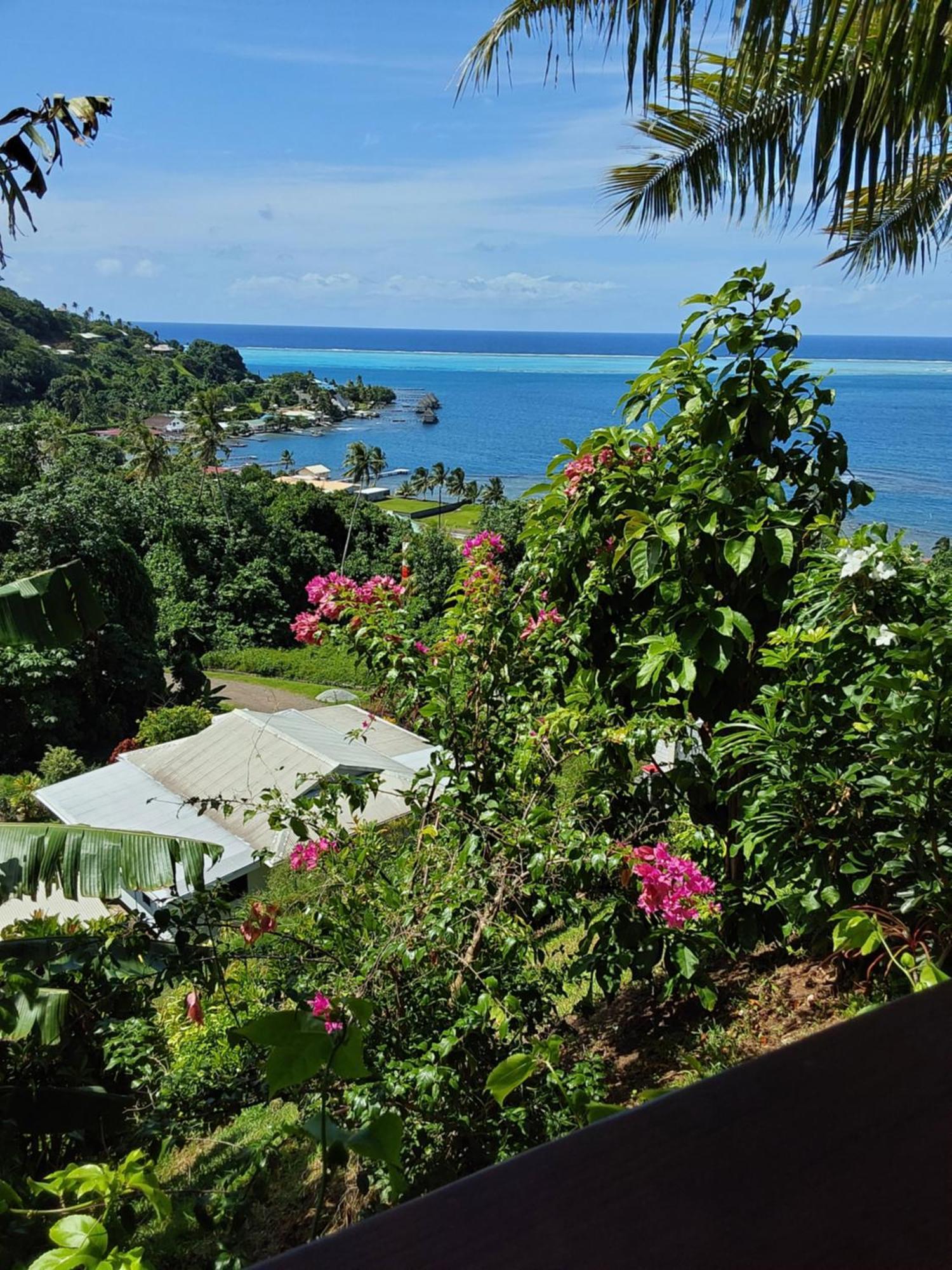 Fare Mahi Mahi Bed and Breakfast Uturoa Exteriör bild